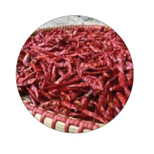 Dried chili and chili powder for export