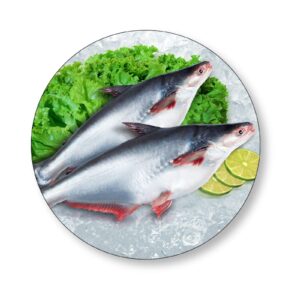 Pangasius and basa fish for export