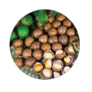 Cashew nuts