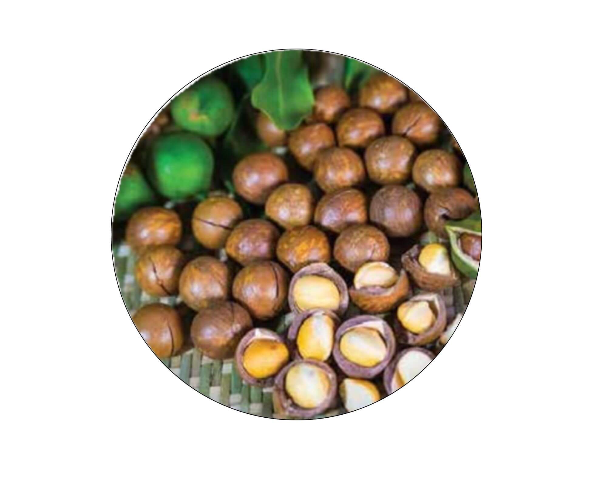 Cashew nuts
